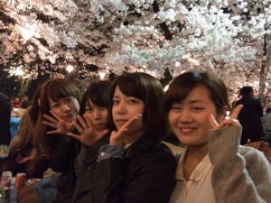 ohanami2