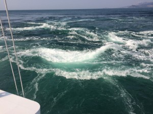 IMG_2200[1]