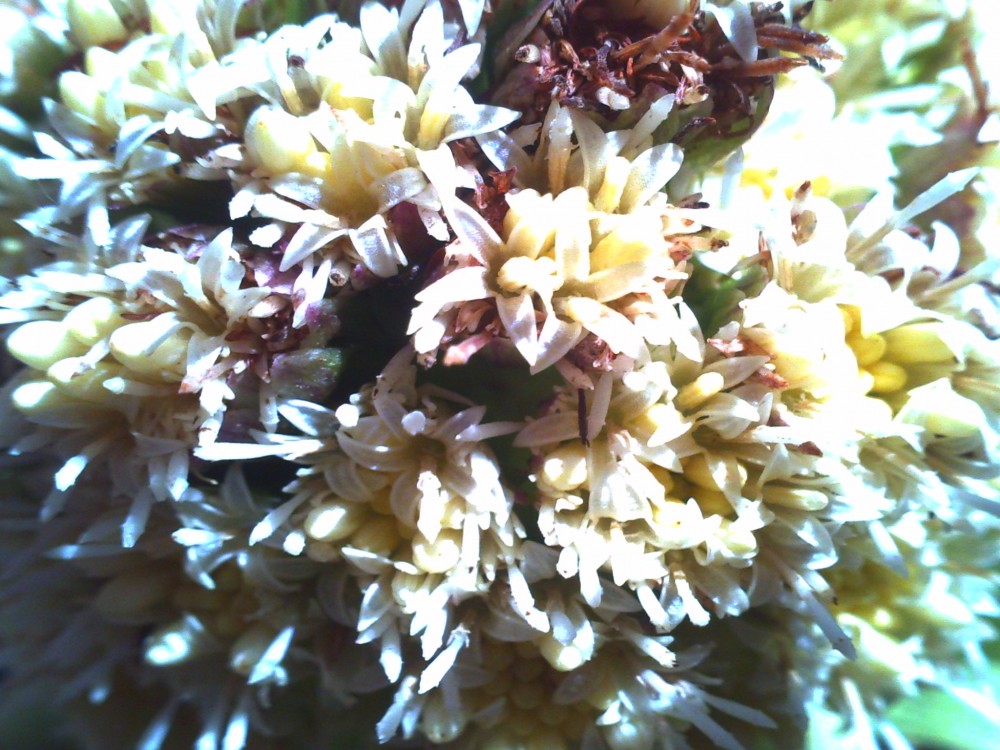 PICT0213